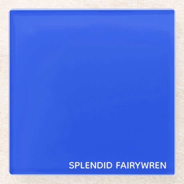 Splendid Fairywren Blue Color Name Glass Coaster (Front)