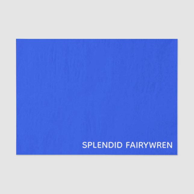 Splendid Fairywren Blue Color Name Tissue Paper (Front)
