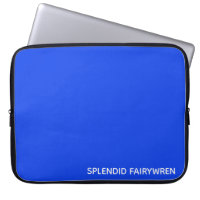Splendid Fairywren Blue Colour Name