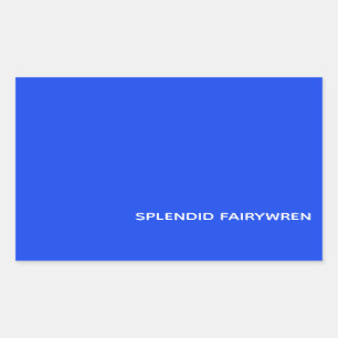 Splendid Fairywren Blue Colour Name Rectangular Sticker