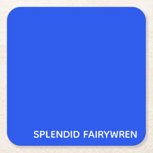 Splendid Fairywren Blue Colour Name Square Paper Coaster