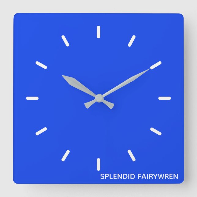 Splendid Fairywren Blue Colour Name Square Wall Clock (Front)
