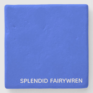 Splendid Fairywren Blue Colour Name Stone Coaster