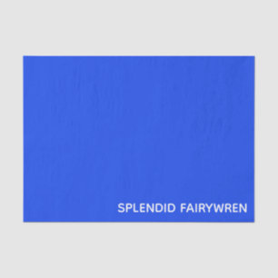 Splendid Fairywren Blue Colour Name Tissue Paper
