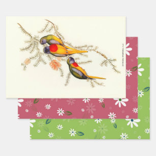 Splendid Grass-Parakeet, Gift Wrapping Paper Sheet