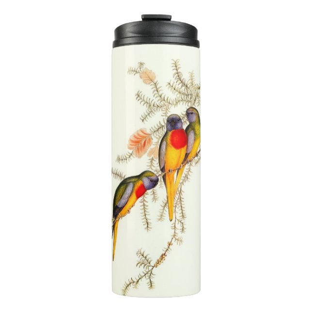 Splendid Grass-Parakeet,  Thermal Tumbler (Front)