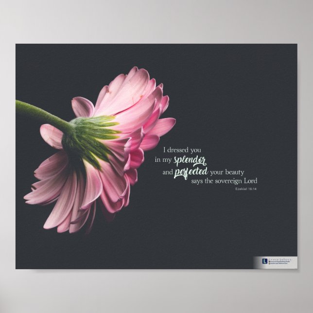 Splendour (Ezekiel 16:14) Poster (Front)