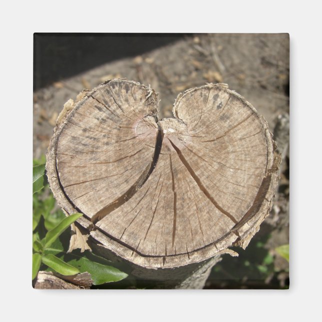 Split Heart Stump Magnets (Front)