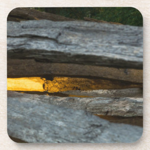 Split Rail Abstract Coaster