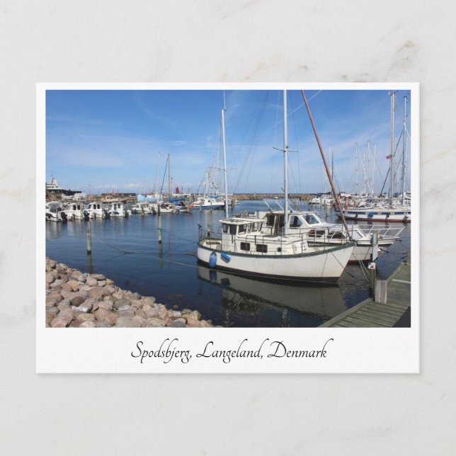 Spodsbjerg harbour, Langeland, Denmark Postcard (Front)