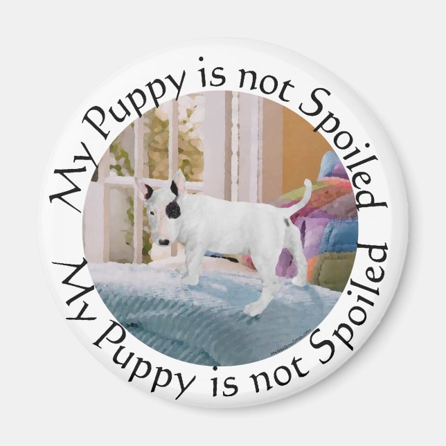 Spoiled? Bull Terrier Puppy . . . Not Magnet (Front)