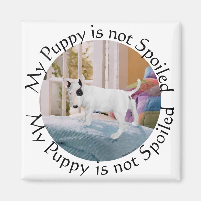 Spoiled? Bull Terrier Puppy . . . Not Magnet (Front)