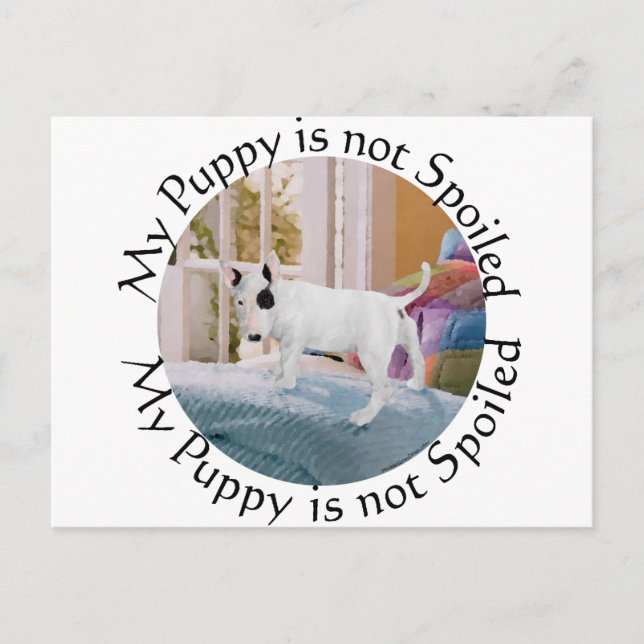 Spoiled? Bull Terrier Puppy . . . Not Postcard (Front)