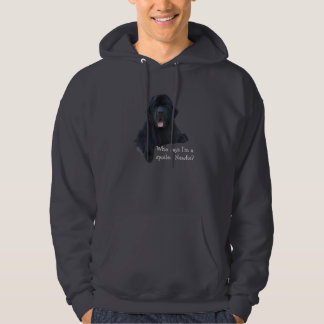 Spoiled Newfoundland Dog Hoodie