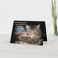 Spoiled On Your Birthday?  Think You're A CaT?