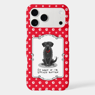 Spoiled Rotten Black Lab Labrador Retriever Dog