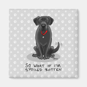 Spoiled Rotten Black Lab Labrador Retriever Dog Magnet