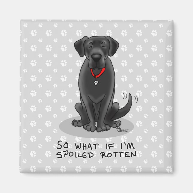 Spoiled Rotten Black Lab Labrador Retriever Dog Magnet (Front)
