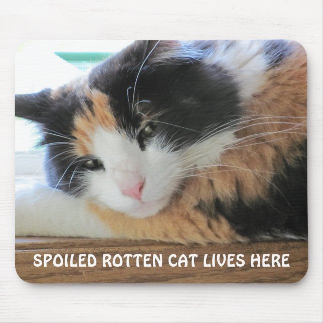 Spoiled rotten cat lives here mouse pad (Front)