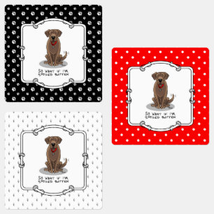 Spoiled Rotten Chocolate Lab Labrador Retriever