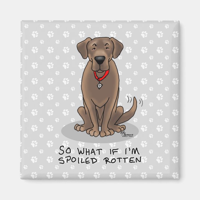 Spoiled Rotten Chocolate Lab Labrador Retriever Magnet (Front)