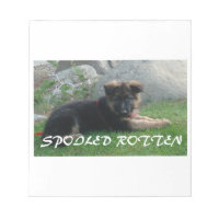 spoiled rotten german shepherd