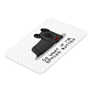 Spoiled Rotten Skye Terrier Dog (black) Cute Funny Magnet
