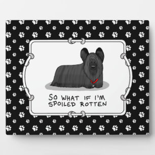 Spoiled Rotten Skye Terrier Dog (black) Cute Funny Plaque