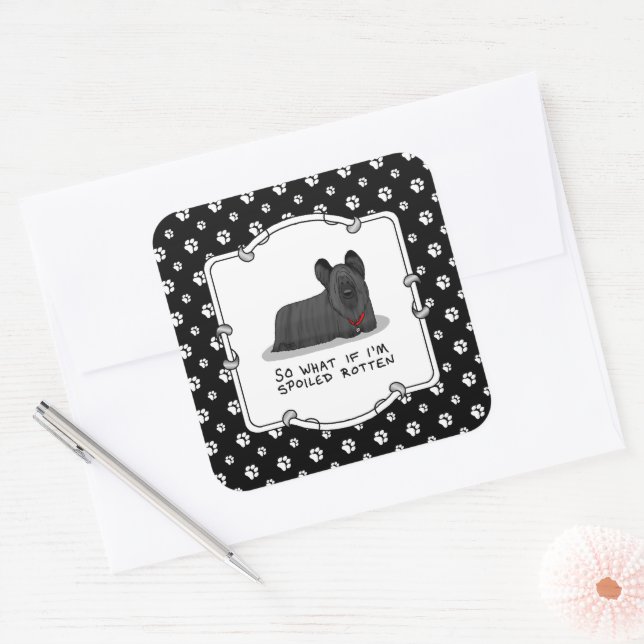 Spoiled Rotten Skye Terrier Dog (black) Cute Funny Square Sticker (Envelope)