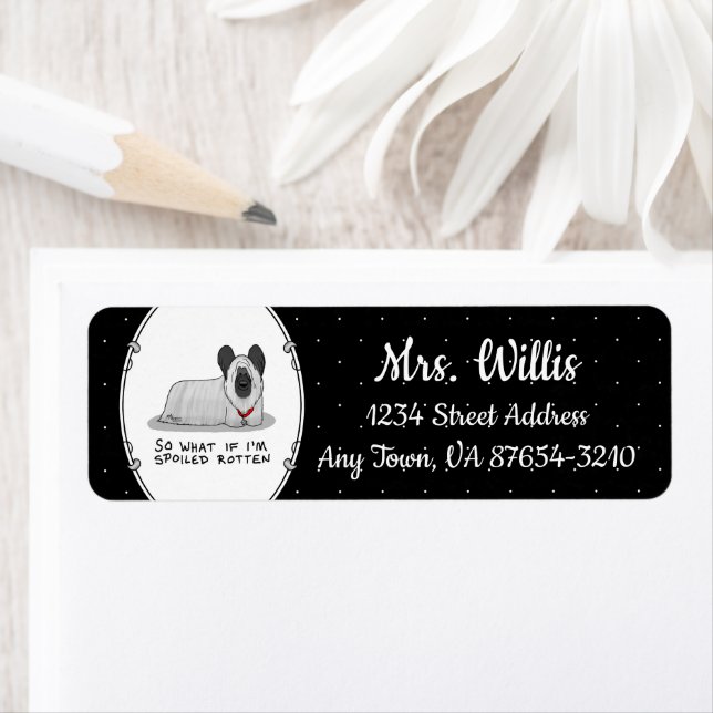 Spoiled Rotten Skye Terrier Dog (silver) Cute Fun (Insitu)