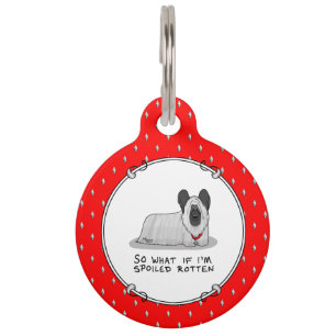 Spoiled Rotten Skye Terrier Dog (silver) Cute Fun Pet Tag