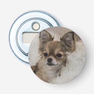 Spoilt Chihuahua Relaxing Bottle Opener