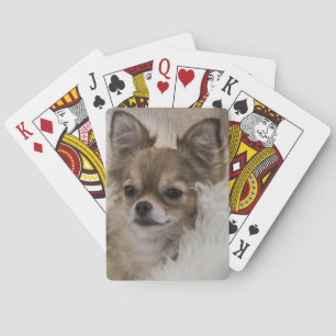Spoilt Chihuahua Relaxing Playing Cards