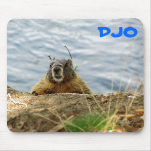 Spokane Marmot says, "Sup? Got a carrot?" Mouse Pad