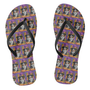 Spooky Australian Shepherd Halloween Witch Pumpkin Jandals