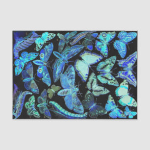 Spooky Black Blue Butterfly and Moth Tissue Paper