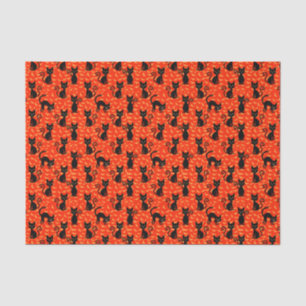 Spooky Black Cat Halloween Orange Bats Tissue Paper