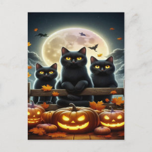 Spooky Black Cat Halloween Wallpaper — 2025 Night! Holiday Postcard