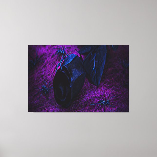 Spooky Black Material Rose, Black Spiders Canvas Print (Front)