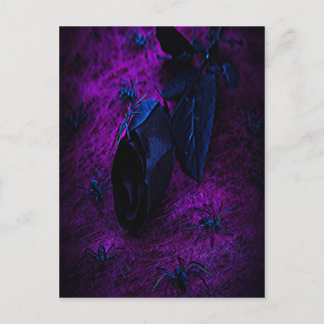 Spooky Black Material Rose, Black Spiders Postcard