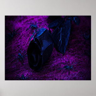 Spooky Black Material Rose, Black Spiders Poster