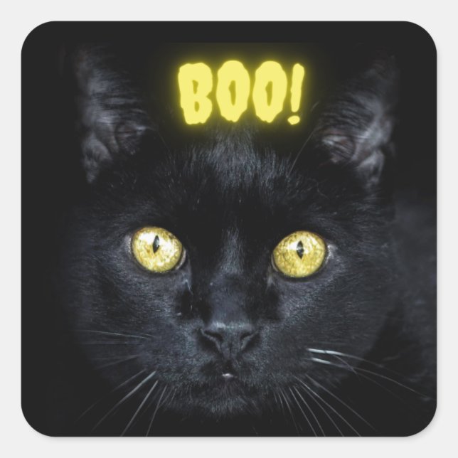 Spooky Boo Black Cat Halloween Square Sticker (Front)