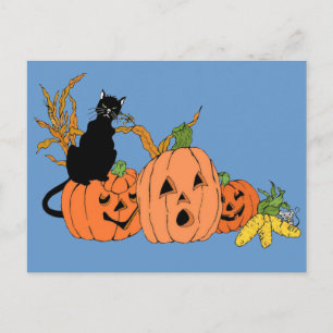 Spooky Cat Postcard