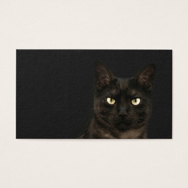 spooky cat profile card (Front)