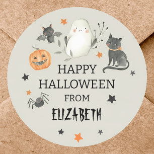 Spooky Cute Ghost Cat Pumpkin Halloween Classic Round Sticker