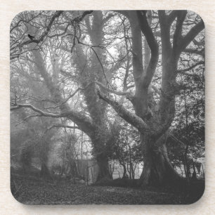 Spooky Forest Black and White Photography Coaster