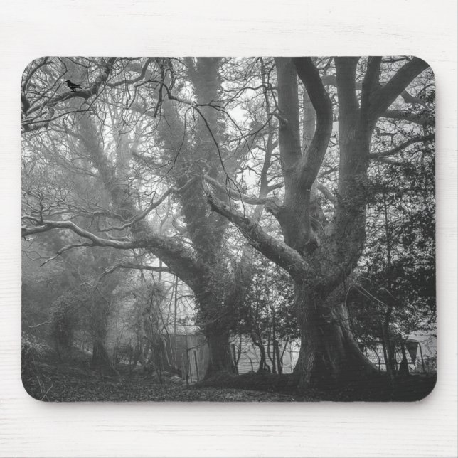 Spooky Forest Black and White Photography Mouse Pad (Front)