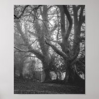 Spooky Forest Black and White Photography