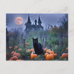 Spooky Haunted House Black Cat Pumpkins Holiday Postcard