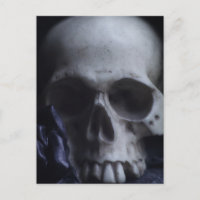 Spooky Human Skull Grim Black White Photography